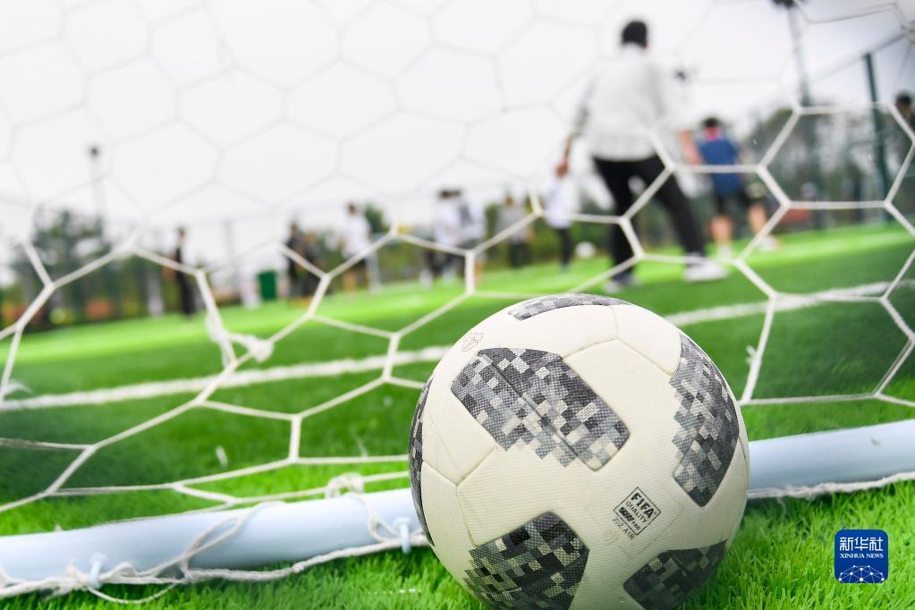 不少球迷可 不少球迷可