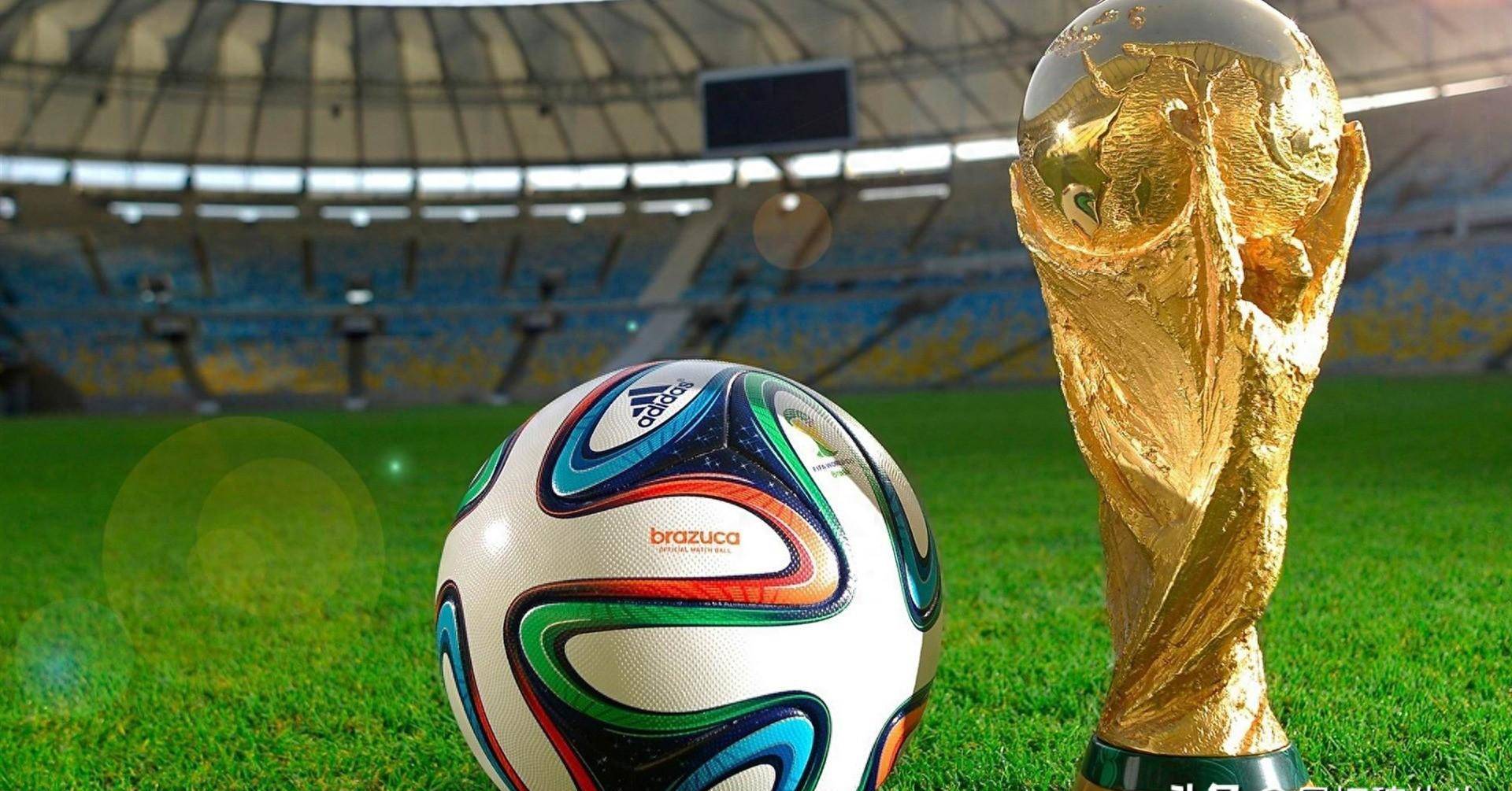 转会市场博 转会市场博