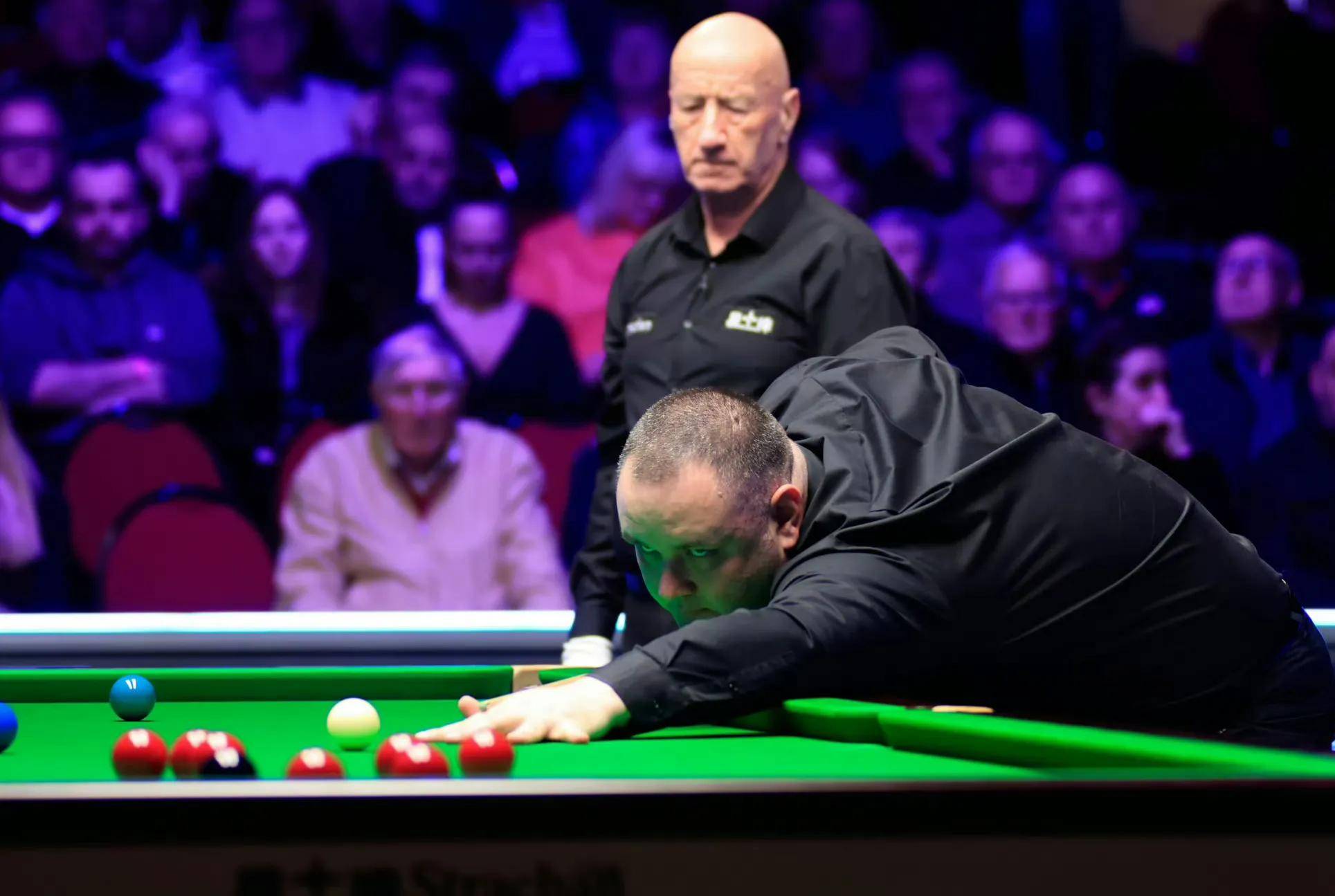 媒体关注的 媒体关注的