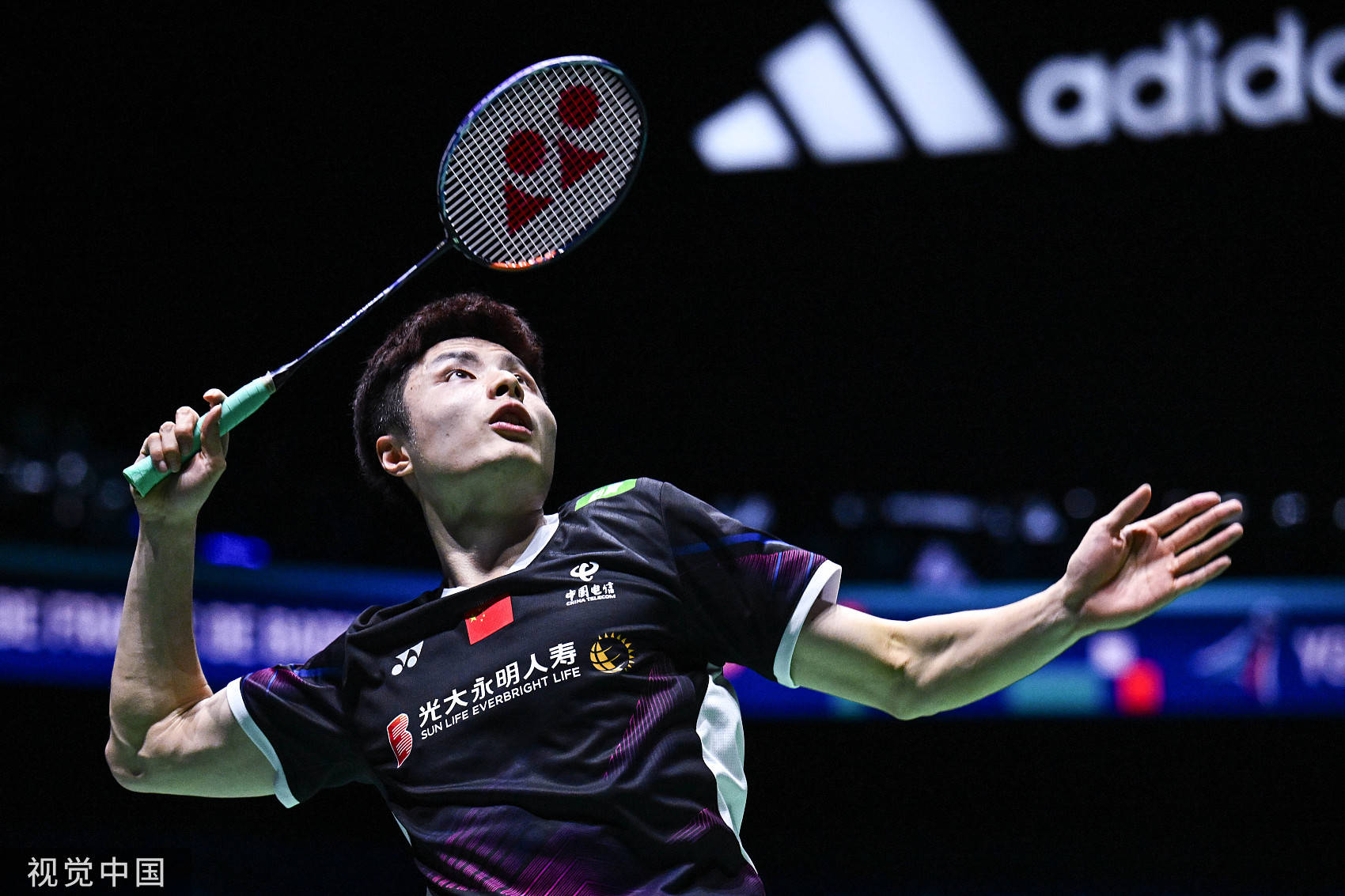 蜂的防线 蜂的防线