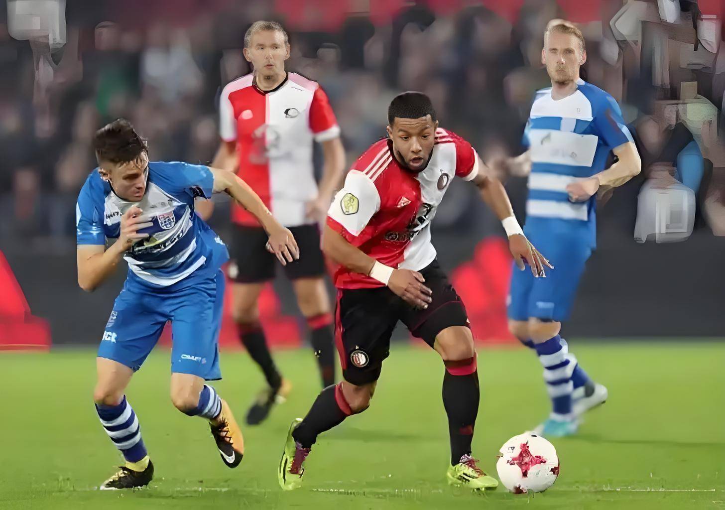 种子一定会 种子一定会